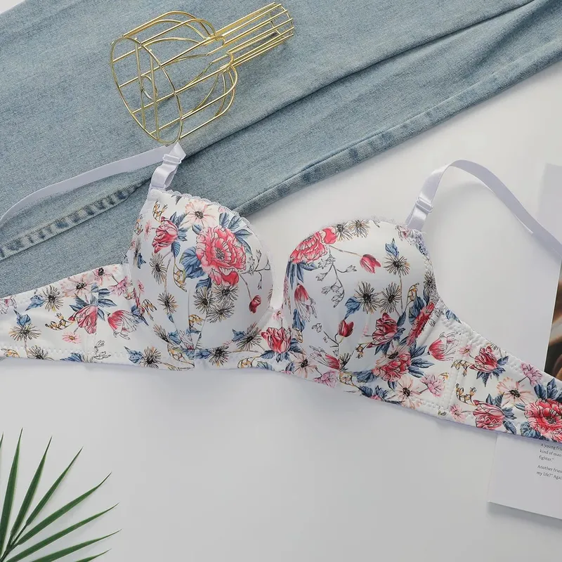 Sexy Lingerie Set for Women Pretty Printed Brassiere Push Up Bra with Steel Ring Everyday Underwear Panty Bras Set