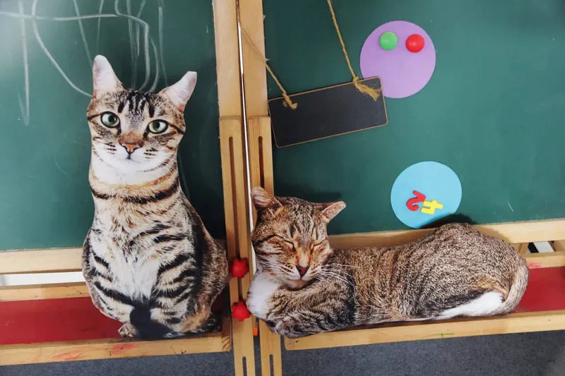 Travesseiro de pelúcia realista de 50 cm para gato, estampa 3D, animal, gato, travesseiro, decoração de casa, presente para pessoas de carro