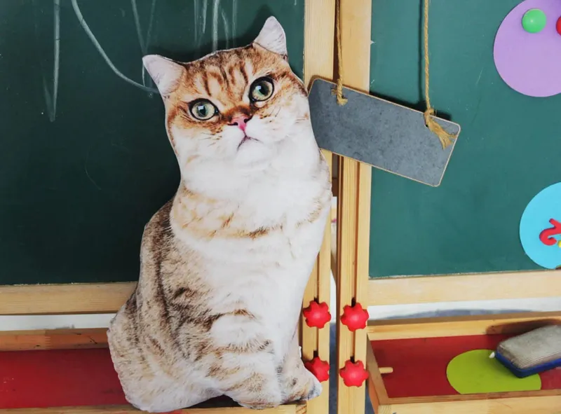 Travesseiro de pelúcia realista de 50 cm para gato, estampa 3D, animal, gato, travesseiro, decoração de casa, presente para pessoas de carro