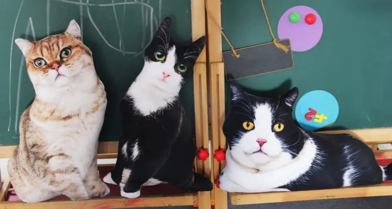 Travesseiro de pelúcia realista de 50 cm para gato, estampa 3D, animal, gato, travesseiro, decoração de casa, presente para pessoas de carro