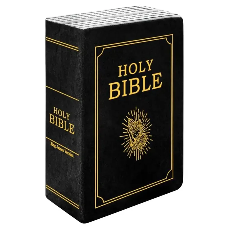Living Room Realistic Looking Bible Pillow Plush Toy Sofa Cushion Bible Throw Pillow Cutest Home Decor Bible Cushion Bedroom — image 2