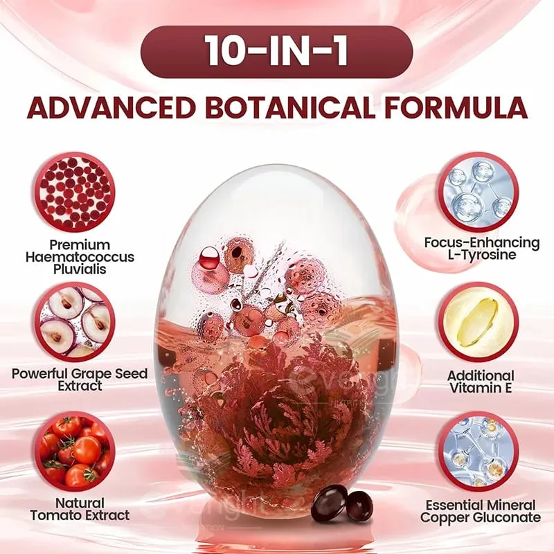 Astaxanthin 24mg – Potent Antioxidant for Skin Eyes & Immune Health – 10-in-1 with Lycopene Grape Seed Vitamin E & Zinc — image 4