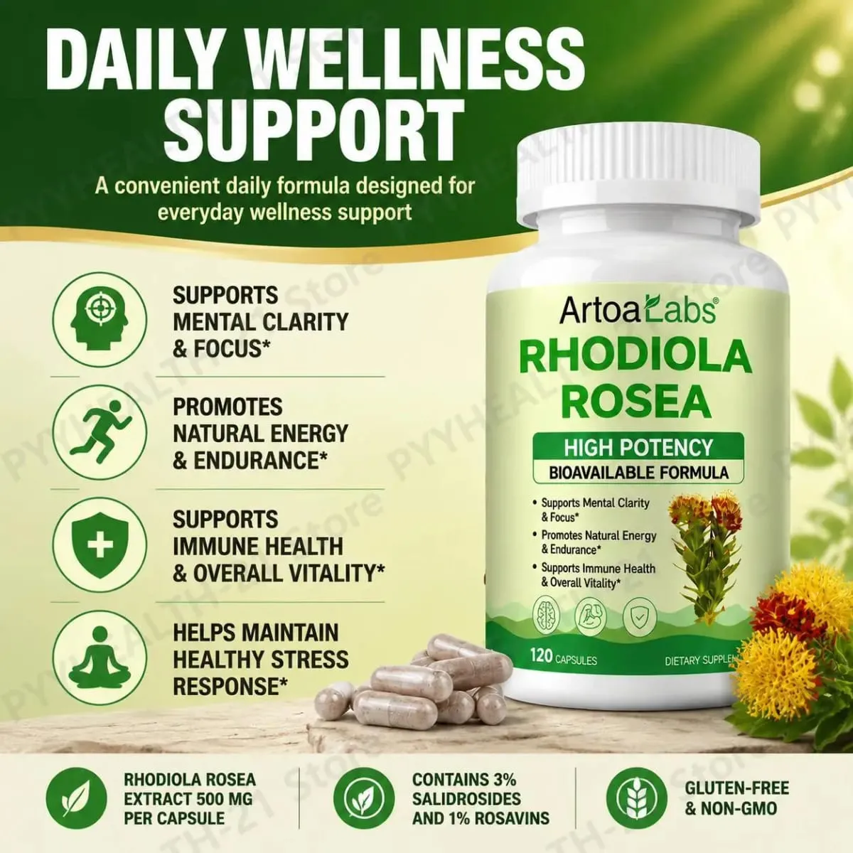ArtoaLabs Rhodiola Rosea 500mg Capsules High Potency Supports Mental Clarity Focus Natural Energy Endurance 120 Vegan Capsules — image 2