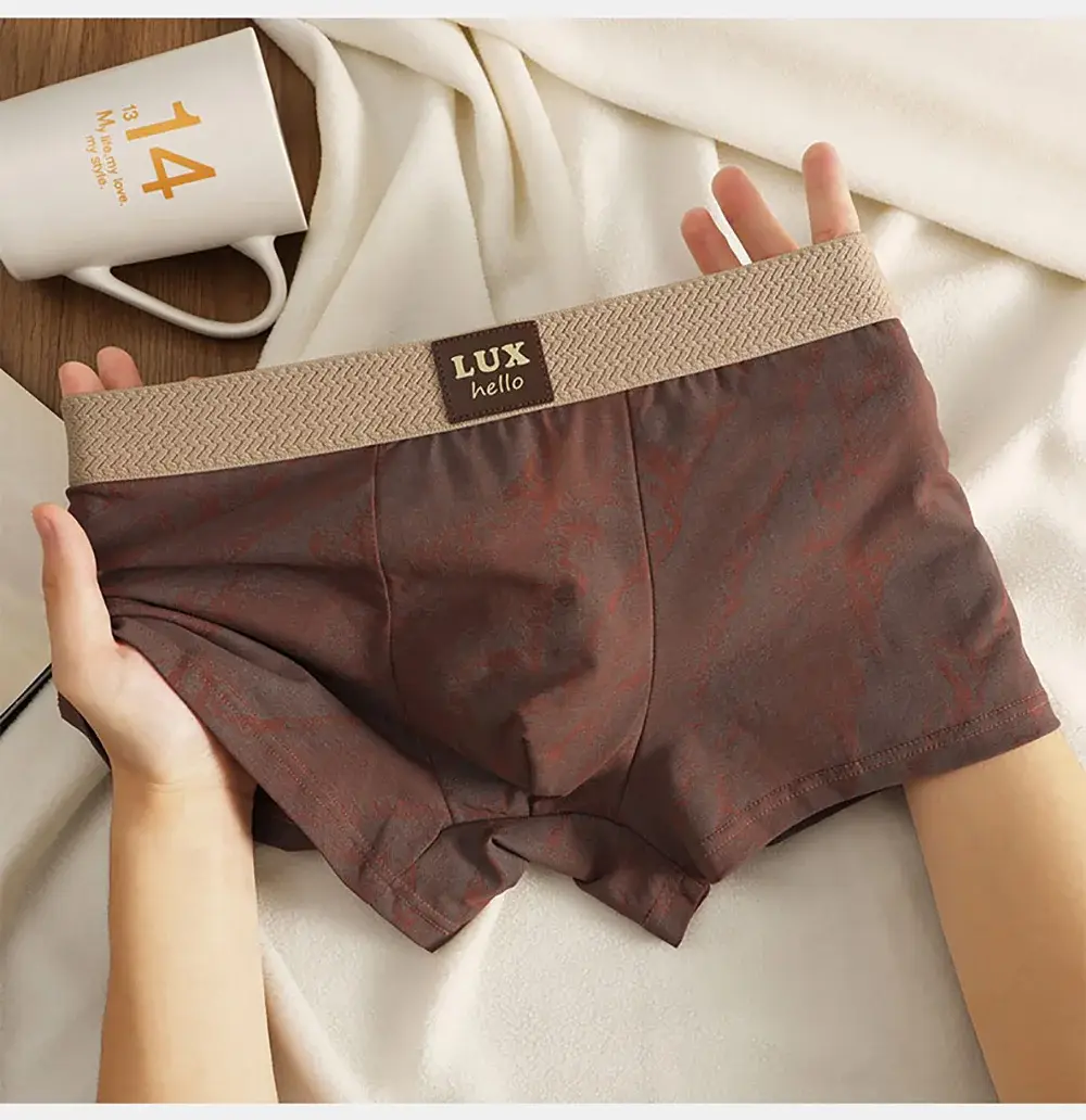 3 Buah/Bungkus 100% Katun Mewah Cetak Petinju Hombre 3D Mesh Bernapas Antibakteri Kantong Pakaian Dalam Nyaman Lembut Celana Dalam Pria — image 9