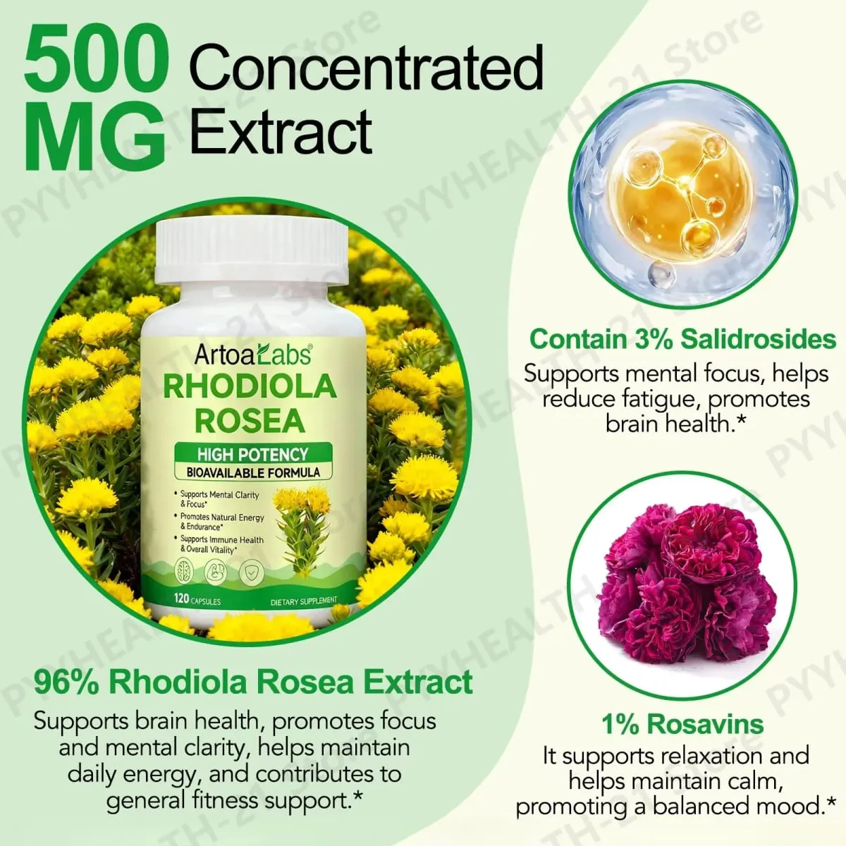 ArtoaLabs Rhodiola Rosea 500mg Capsules High Potency Supports Mental Clarity Focus Natural Energy Endurance 120 Vegan Capsules — image 5