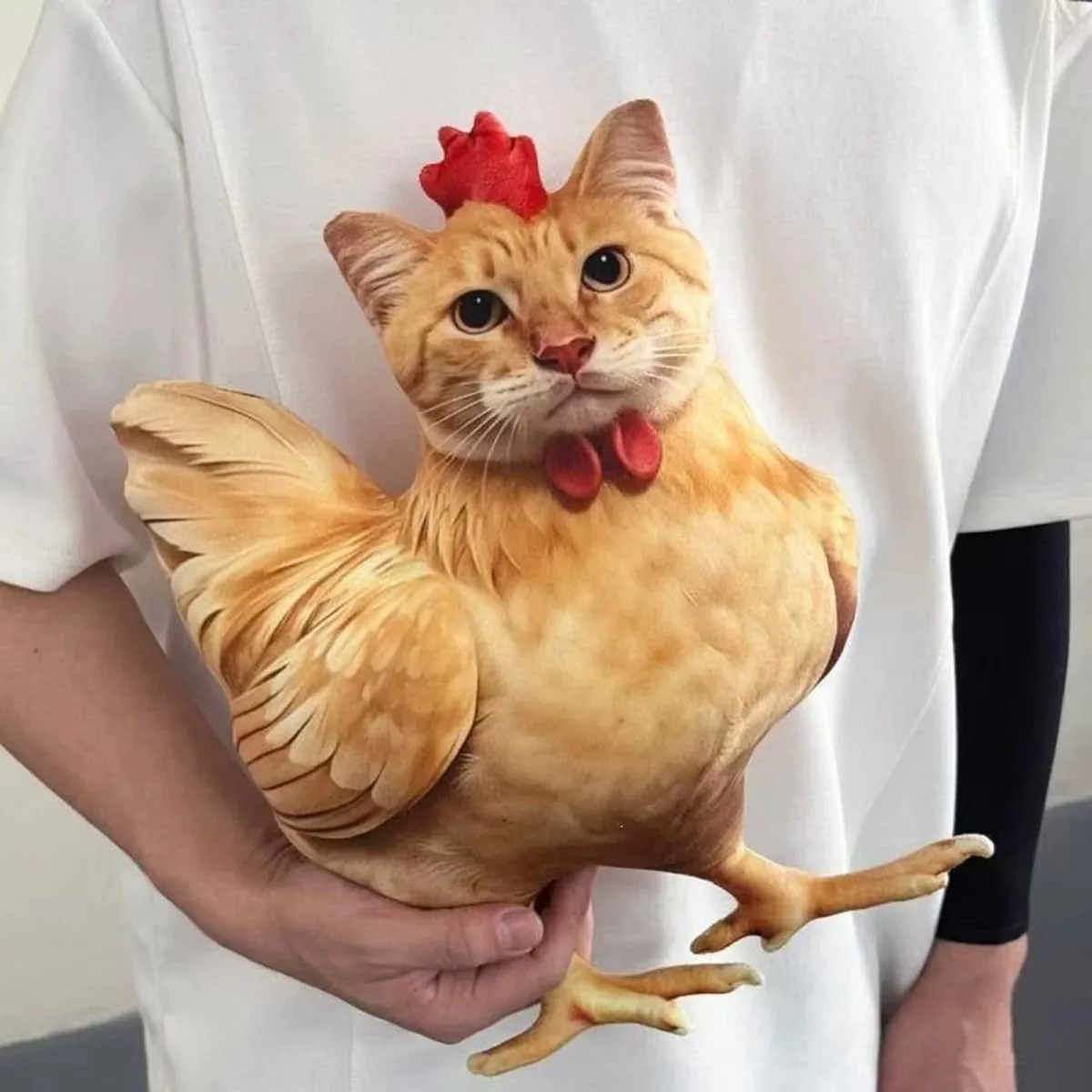 Chat poulet drôle nouveauté doux en peluche oreiller mignon Animal en peluche canapé coussin 3D Orange Tabby chaton poupée