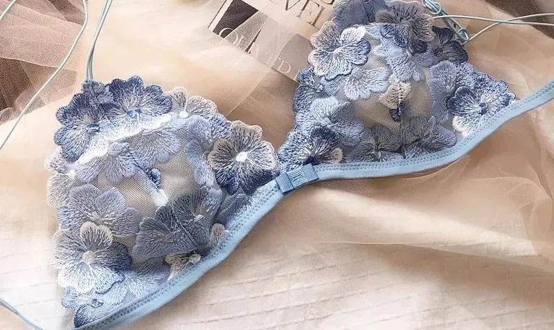 French Niche Lingerie Set Embroidered Mesh Triangle Cup Wireless Bralette Retro Lace Thin Sexy Comfortable Bra USA Tushy MOYISU — image 9