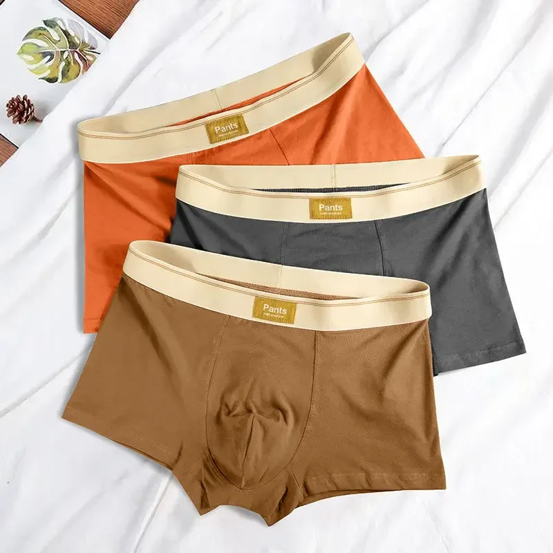 Cueca masculina de algodão boxershorts hombre calcinha homem respirável sexy esportes conforto boxers masculinos tamanho grande L-7XL — image 4