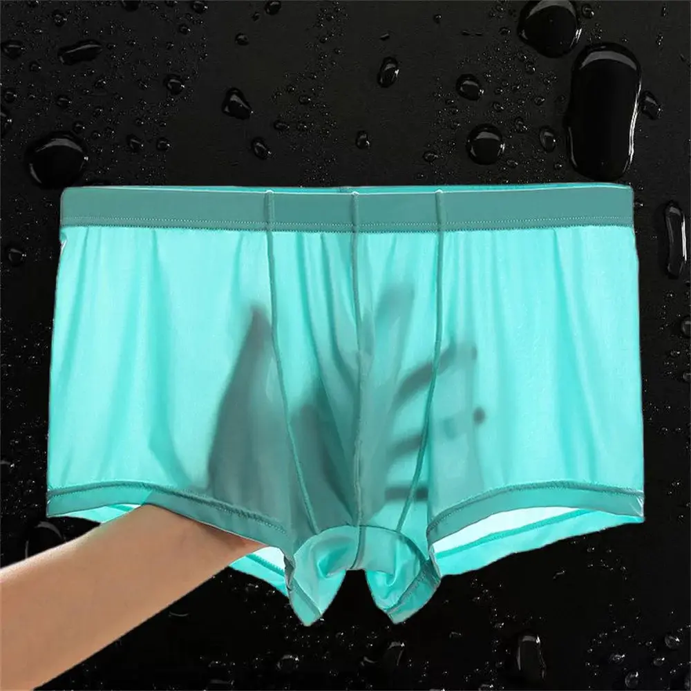 Transparante Boxers Heren Ijs Zijde Sneldrogende Mannelijke Trunks Zomer Naadloos Ondergoed Ultradunne Plus Size Shorts