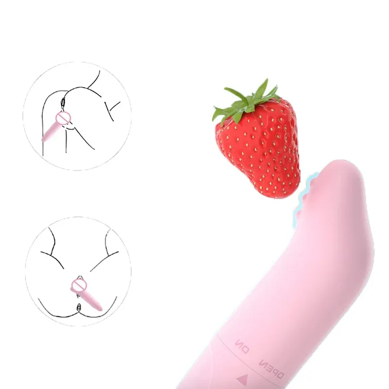 Mini Powerful Vibrator Bullet Stimulator