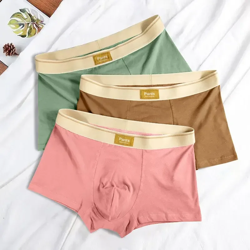 Cueca masculina de algodão boxershorts hombre calcinha homem respirável sexy esportes conforto boxers masculinos tamanho grande L-7XL — image 3