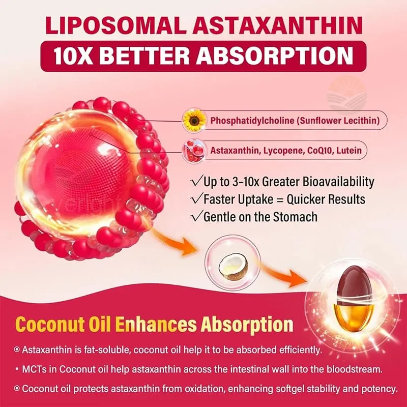Liposomal Astaxanthin Supplements with Lycopene CoQ10 Lutein Vitamin B6 E Zinc Antioxidants for Healthy Skin Eyes Aging — image 4