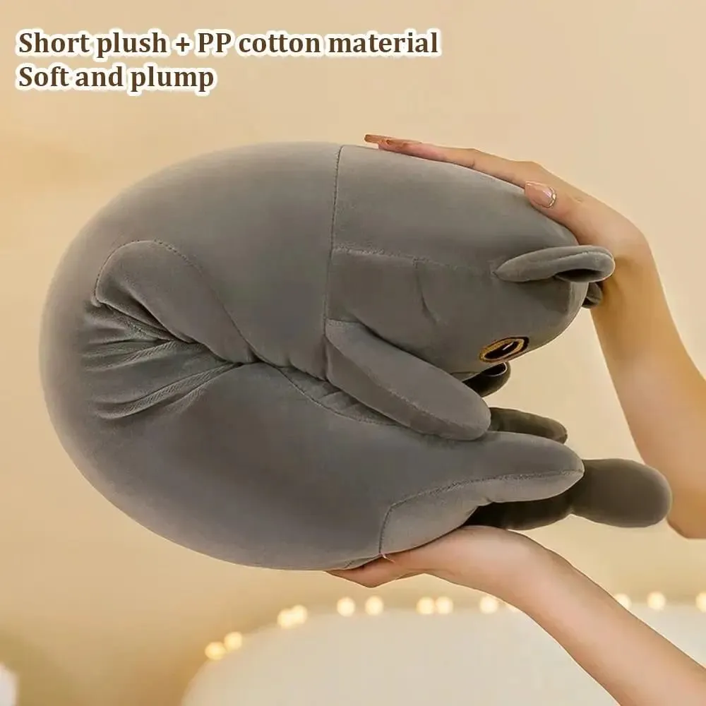 Bonito 50/70cm gato brinquedo de pelúcia longo adorável dormir travesseiro macio criativo pelúcia animal decoração para casa