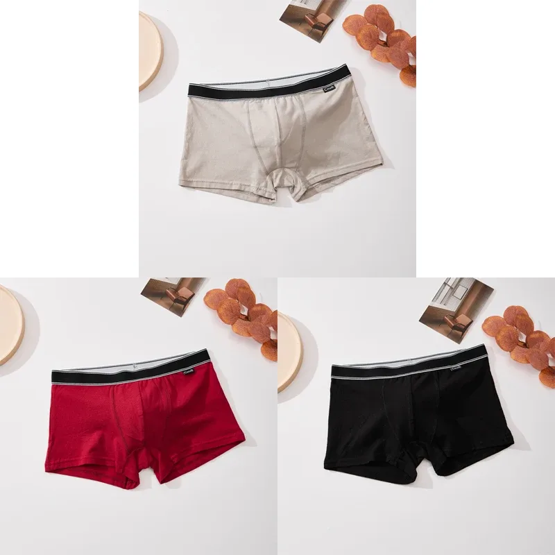 3 Buah Celana Dalam Pria Sabuk Bergaris Warna Solid Sederhana Celana Pendek Boxer Pria Lembut Nyaman Katun Celana Pendek Pinggang Tengah Penawaran Khusus S-XL