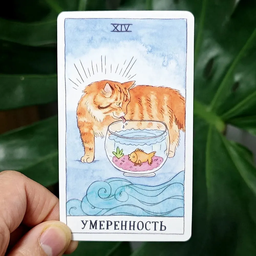 Kot Tarot Język rosyjski 10,3 * 6 cm Połącz autentyczność z kocim poczuciem humoru 78 szt. Kart Tarota z motywem kota — image 2