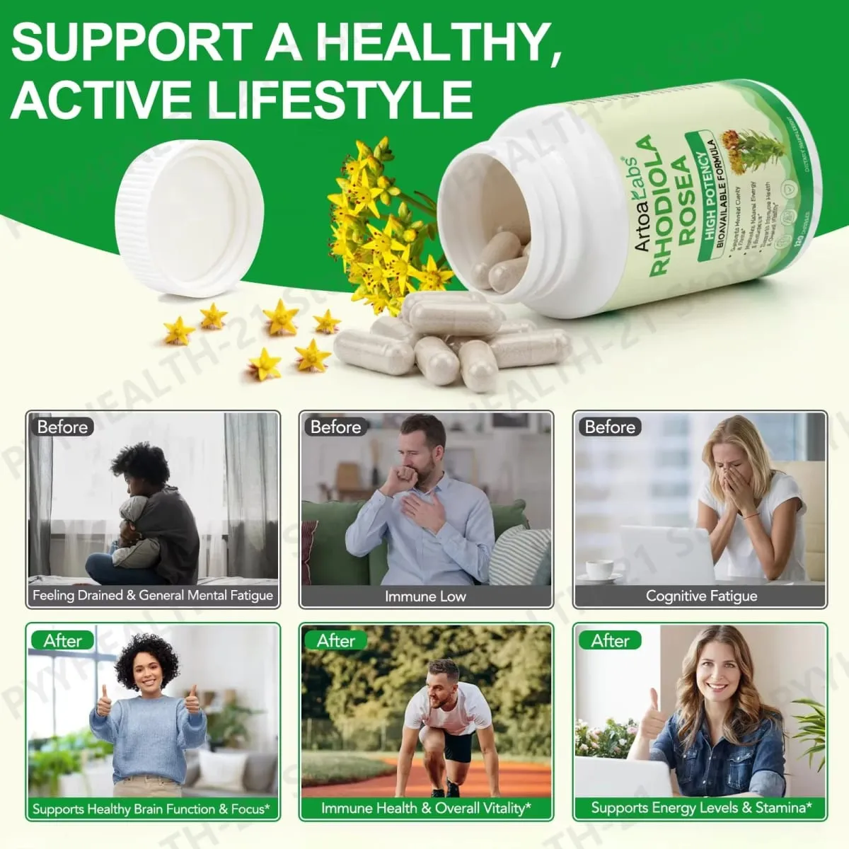 ArtoaLabs Rhodiola Rosea 500mg Capsules High Potency Supports Mental Clarity Focus Natural Energy Endurance 120 Vegan Capsules — image 4