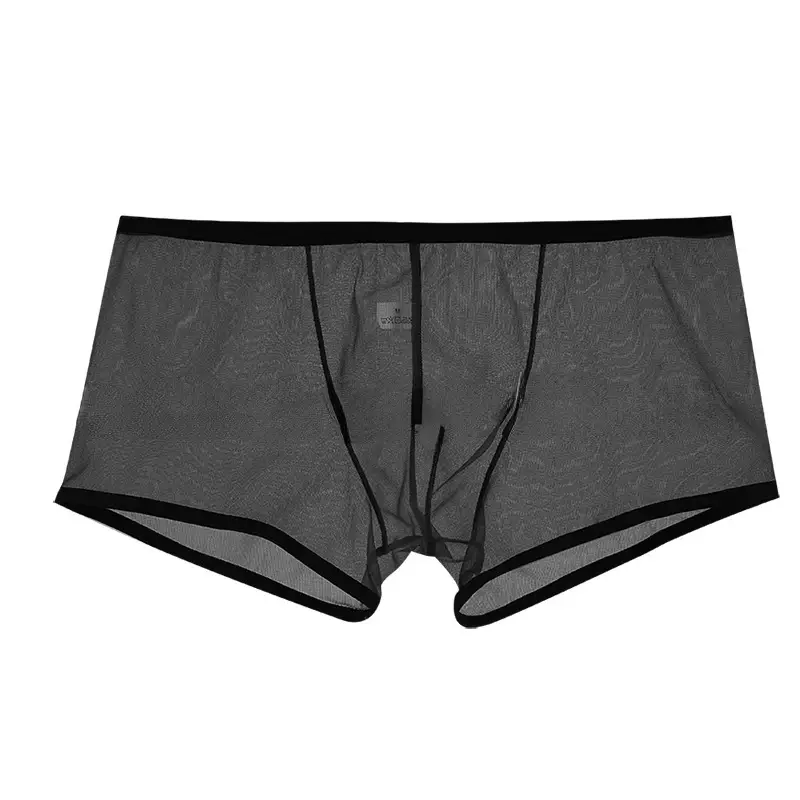 男性シースルー超薄型ボクサーブリーフショーツ U 凸ポーチ下着パンティーメッシュローライズ透明速乾性パンツ — image 5