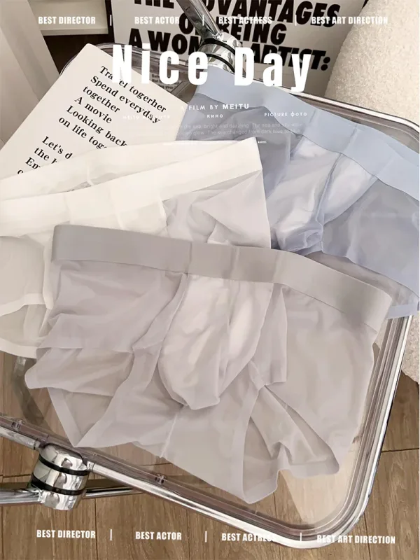 Cuecas masculinas transparentes ultra-finas de seda gelo calcinha de secagem rápida sexy u bulge bolsa homem roupa interior respirável cuecas — image 9