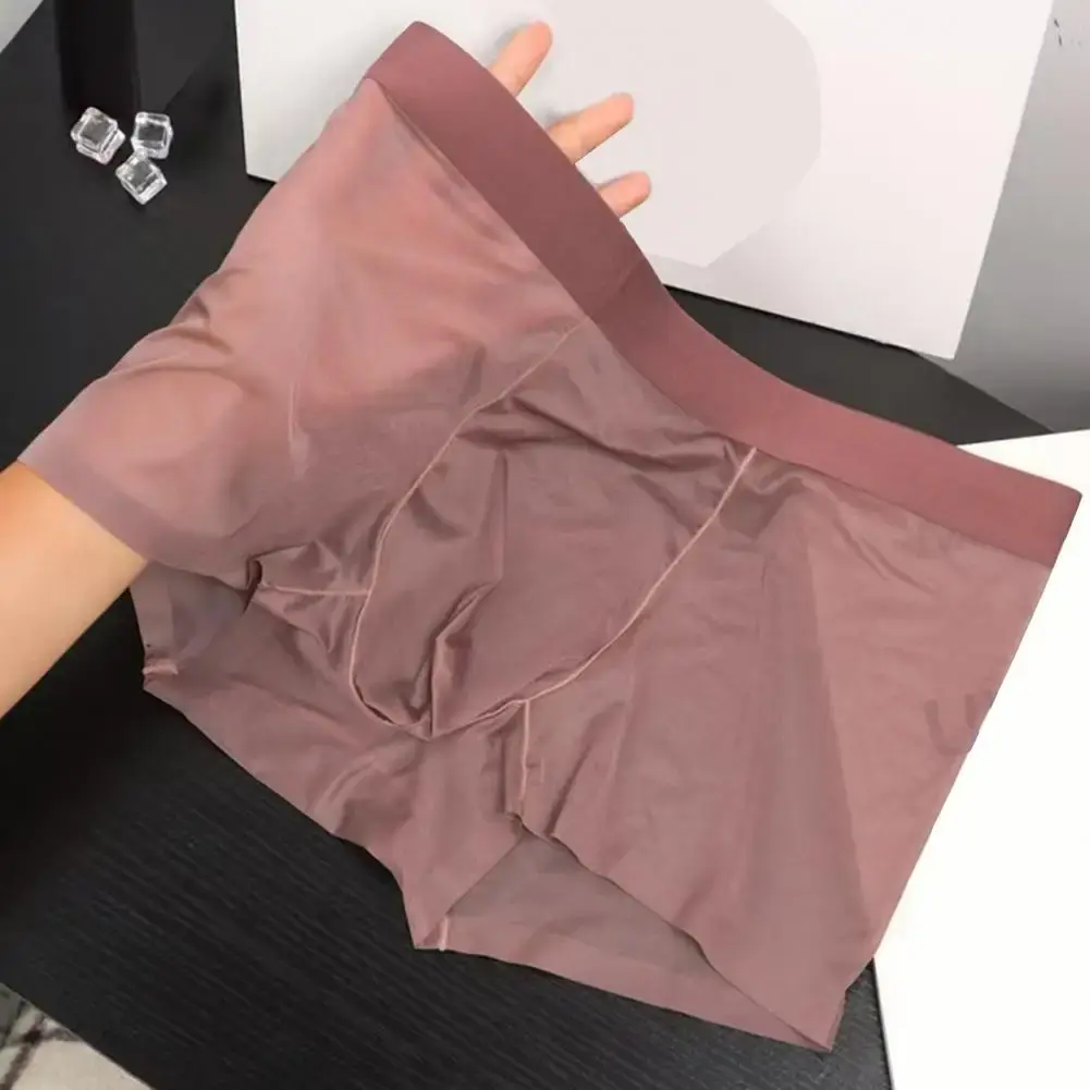 Erkek Boxer Şeffaf Hafif Erkek İç Giyim Elastik Orta Bel U Dışbükey Ince Perspektif Şort Külot Dikişsiz Külot — image 10