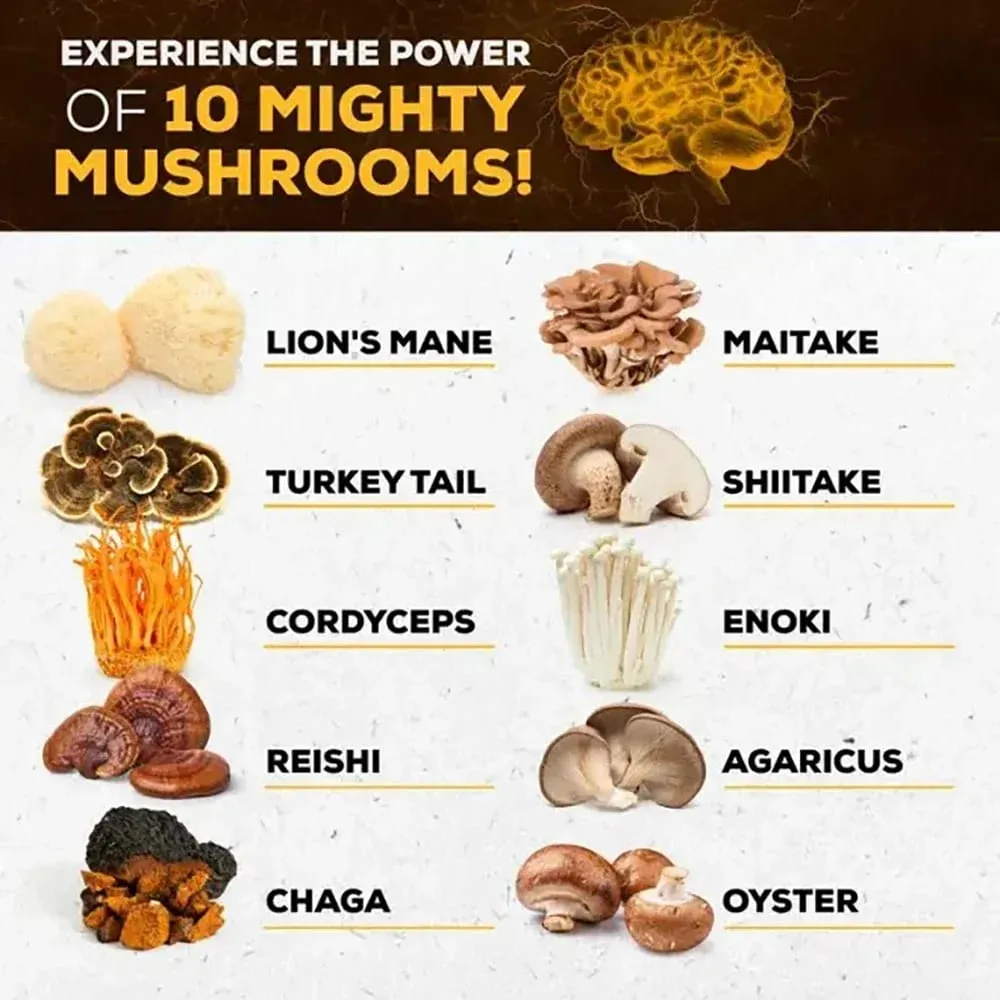 Didacat 10x Mushroom Complex Capsules with Lions Mane Chaga Nootropic Brain Supplement for Memory and Immunity