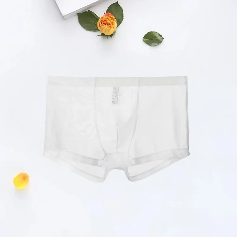 Şeffaf Boksörler Erkekler için Erkek Külot See Through Seksi Örgü Düşük Bel Buz Ipek Ince Soğutma Erkek Külot Erkek iç çamaşırı — image 15