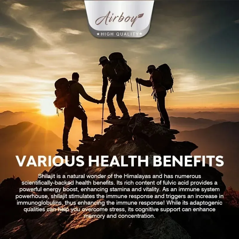 Shilajit und Ginseng – Energie- und Vitalitätsunterstützung, Verbesserung der geistigen Klarheit, Immununterstützung, Steigerung des Ausdauermuskelwachstums — image 6