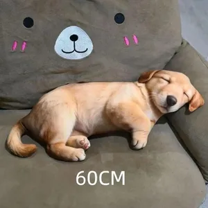 60cm A9
