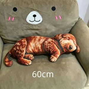 60cm A12