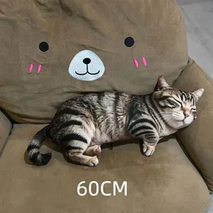 60cm A21
